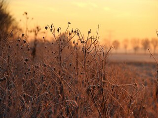 Casa per le vacanze Zevenbergen Ambiente 24