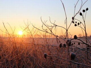 Casa per le vacanze Zevenbergen Ambiente 25