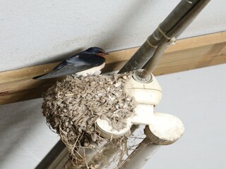 Casa per le vacanze Zevenbergen Ambiente 28