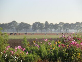 Vakantiehuis Zevenbergen Omgeving 29