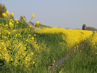 Casa per le vacanze Zevenbergen Ambiente 33