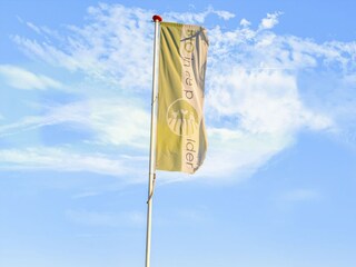 Ferienhaus Zevenbergen  40