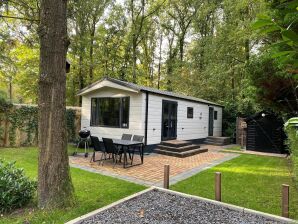 Vakantiehuis Mooi Chalet in bos met gemeenschappelijk zwembad - Wapserveen - image1