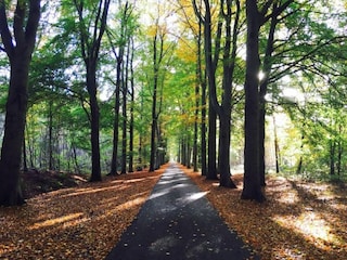 Vakantiehuis Wapserveen Omgeving 34