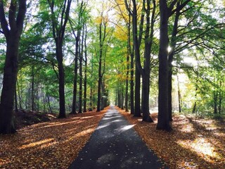 Vakantiehuis Wapserveen Omgeving 34