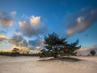 Vakantiehuis Wapserveen Omgeving 30