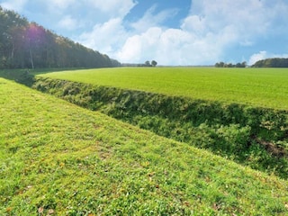Ferienhaus Wapserveen Umgebung 30