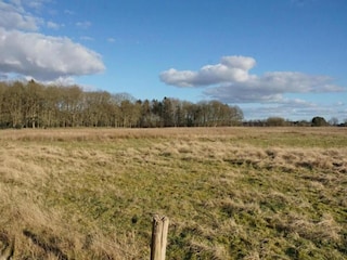Ferienhaus Wapserveen Umgebung 31