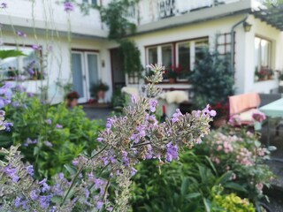 Vakantieappartement Nußdorf am Attersee Buitenaudio-opname 5