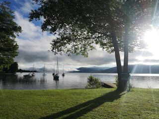 Die Natur bewundern. Der Steg.