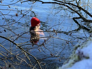 Appartamento per vacanze Nußdorf am Attersee Ambiente 39