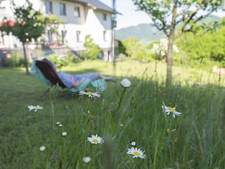 Vakantieappartement Nußdorf am Attersee Buitenaudio-opname 1
