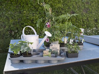 Vakantieappartement Nußdorf am Attersee Buitenaudio-opname 13