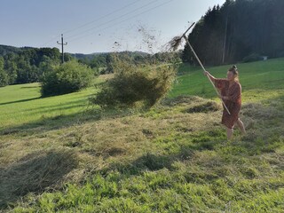 Appartamento per vacanze Nußdorf am Attersee Registrazione all'aperto 14