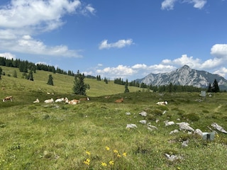 Wandern auf der Postalm. Wunderschön.