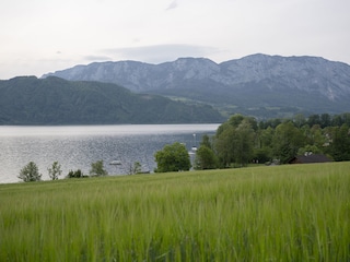 Ferienwohnung Nußdorf am Attersee Umgebung 31