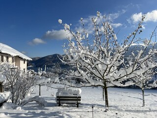 Appartamento per vacanze Nußdorf am Attersee Ambiente 38