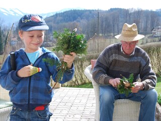 Appartamento per vacanze Nußdorf am Attersee Ambiente 35