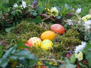 Vakantieappartement Nußdorf am Attersee Omgeving 36