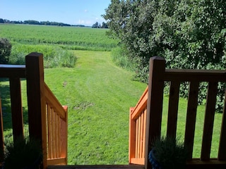 Cottage Moddergat Außenaufnahme 11