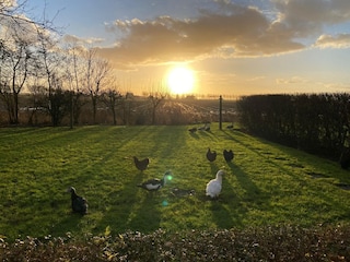 Cottage Moddergat Außenaufnahme 12