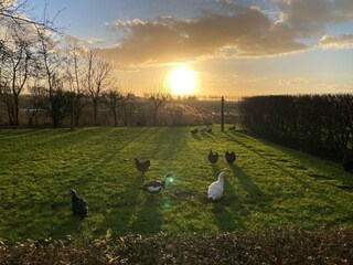 Maison de vacances Moddergat Enregistrement extérieur 8