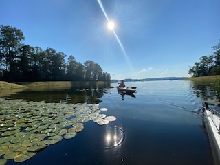 Apartamento de vacaciones Traunstein Entorno 20