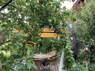 Appartement de vacances Traunstein Enregistrement extérieur 3