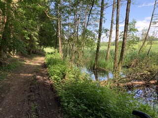 Spaziergang am Tüttensee