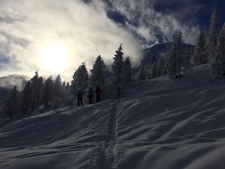 Appartement de vacances Traunstein Environnement 31