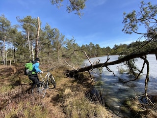 Appartement de vacances Traunstein Environnement 34
