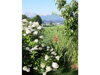 Appartamento per vacanze Kössen Registrazione all'aperto 5