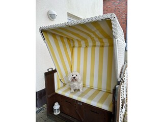 Appartamento per vacanze Duhnen Caratteristiche 33