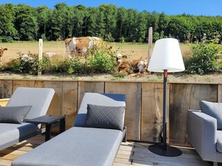 Vakantiehuis Schmallenberg Buitenaudio-opname 8