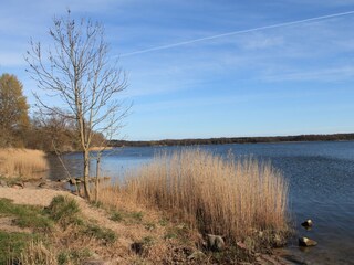 Strand in Gunneby