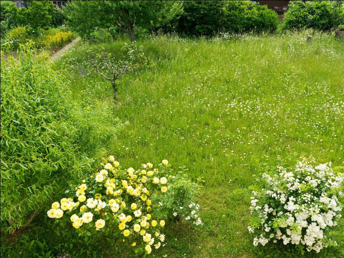 Gartenansicht von oben