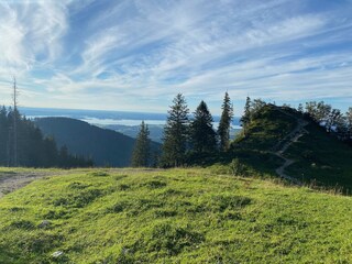 Alm mit Blick auf dem Chiemsee