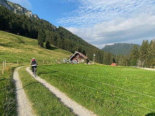 Apartamento de vacaciones Traunstein Entorno 24