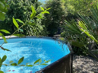 Unser kleiner Pool, wir lieben ihn????