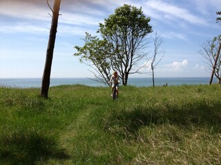 Casa de vacaciones Prerow Entorno 28