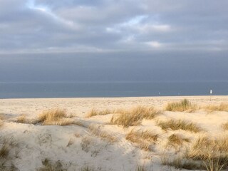 Casa per le vacanze Prerow Ambiente 31