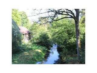 Holzbachschlucht 1