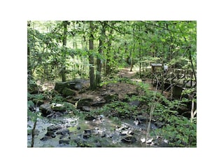 Holzbachschlucht 2