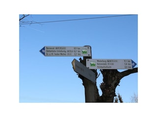 Holzbachschlucht 5