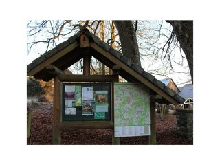 Holzbachschlucht 4