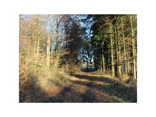 Weg am Hessenblick