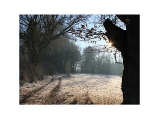 Weg Richtung Hessenblick