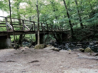 Holzbachschlucht 10