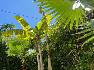 Casa de vacaciones Serans-Basonas Grabación al aire libre 1