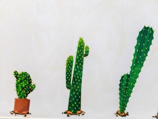 Apartamento Vera Playa  40